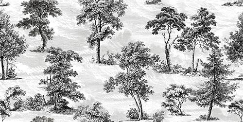 Vallelunga Decorandum Saltus 50X100 см Настенная плитка