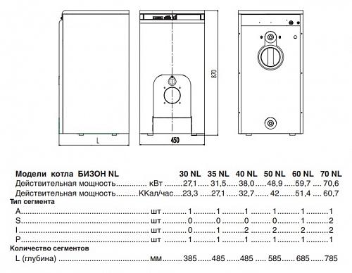 Protherm 40 NL Бизон напольный жидкотопливный котёл