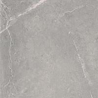 Halcon Nival Gris Brillo Rect 60x60 см Напольная плитка